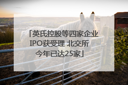 英氏控股等四家企业IPO获受理 北交所今年已达25家