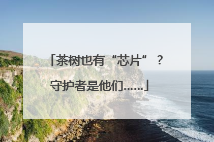 茶树也有“芯片”？守护者是他们……