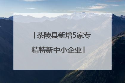 茶陵县新增5家专精特新中小企业