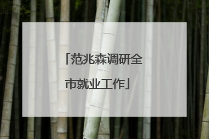 范兆森调研全市就业工作