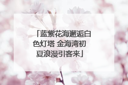 蓝紫花海邂逅白色灯塔 金海湾初夏浪漫引客来