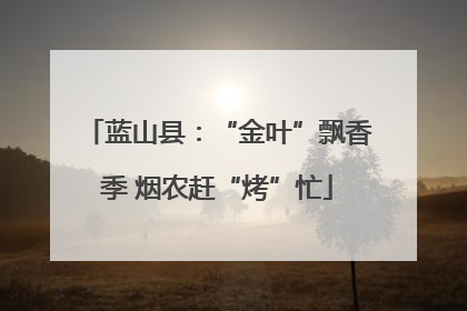 蓝山县：“金叶”飘香季 烟农赶“烤”忙