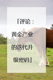 评论：黄金产业的迭代升级密码