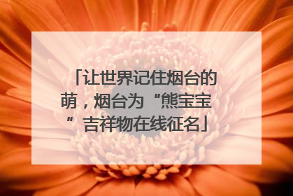让世界记住烟台的萌，烟台为“熊宝宝”吉祥物在线征名
