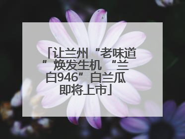 让兰州“老味道”焕发生机 “兰白946”白兰瓜即将上市