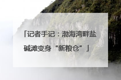 记者手记：渤海湾畔盐碱滩变身“新粮仓”