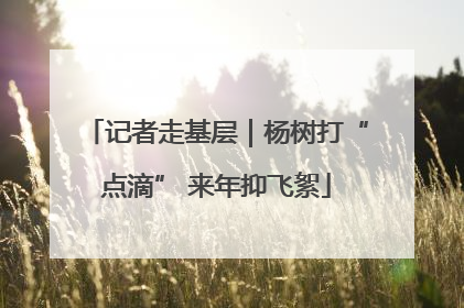 记者走基层｜杨树打“点滴” 来年抑飞絮