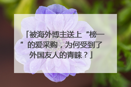 被海外博主送上“榜一”的爱采购，为何受到了外国友人的青睐？