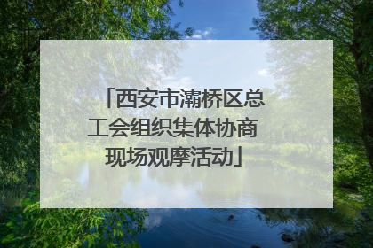西安市灞桥区总工会组织集体协商现场观摩活动