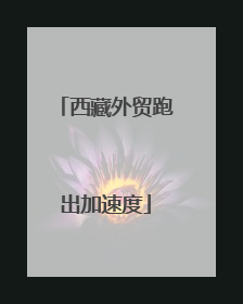 西藏外贸跑出加速度