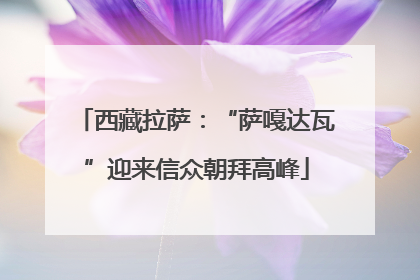 西藏拉萨：“萨嘎达瓦”迎来信众朝拜高峰