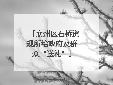 襄州区石桥资规所给政府及群众“送礼”