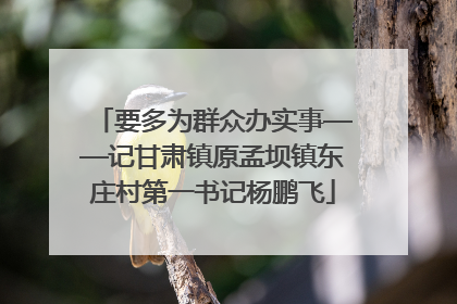 要多为群众办实事——记甘肃镇原孟坝镇东庄村第一书记杨鹏飞