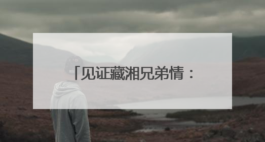 见证藏湘兄弟情：西藏山南特色产品亮相第四届中国-非洲经贸博览会