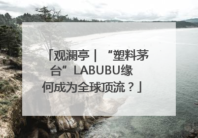 观澜亭｜“塑料茅台”LABUBU缘何成为全球顶流？