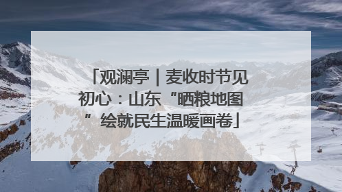观澜亭｜麦收时节见初心：山东“晒粮地图”绘就民生温暖画卷