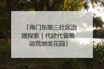 角门东里三社区治理探索｜代建代管推动荒地变花园