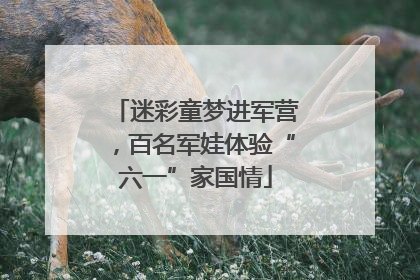 迷彩童梦进军营，百名军娃体验“六一”家国情