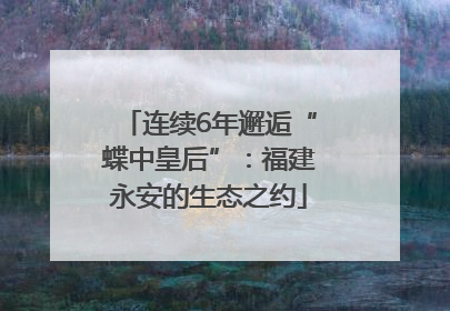 连续6年邂逅“蝶中皇后”：福建永安的生态之约