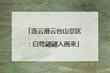 连云港云台山景区：白鹭翩翩入画来