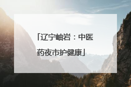 辽宁岫岩：中医药夜市护健康
