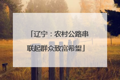 辽宁：农村公路串联起群众致富希望