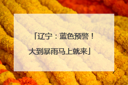 辽宁：蓝色预警！大到暴雨马上就来