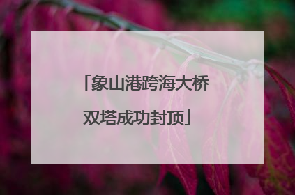 象山港跨海大桥双塔成功封顶