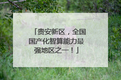 贵安新区，全国国产化智算能力最强地区之一！