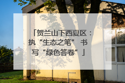 贺兰山下西夏区：执“生态之笔” 书写“绿色答卷”