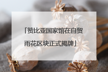 赞比亚国家馆在自贸雨花区块正式揭牌