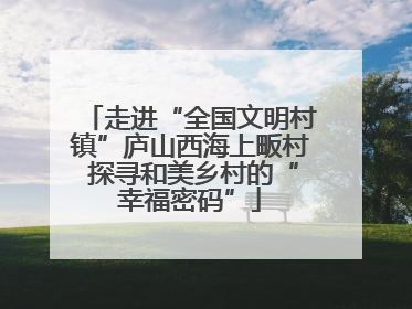 走进“全国文明村镇”庐山西海上畈村 探寻和美乡村的“幸福密码”
