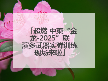 超燃 中柬“金龙-2025”联演多武器实弹训练现场来啦