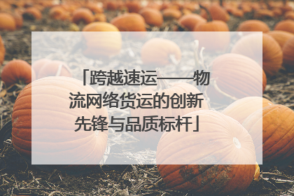 跨越速运——物流网络货运的创新先锋与品质标杆