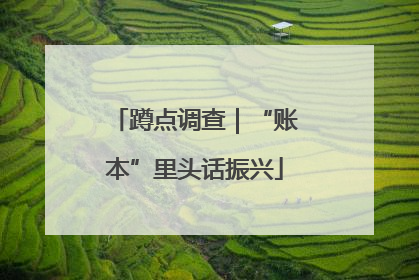 蹲点调查｜“账本”里头话振兴