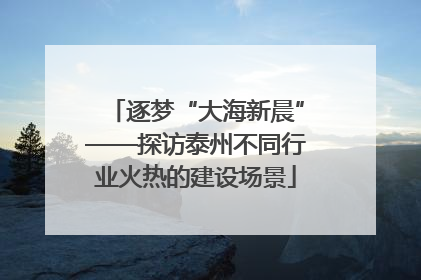 逐梦“大海新晨”——探访泰州不同行业火热的建设场景