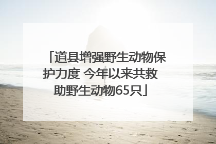 道县增强野生动物保护力度 今年以来共救助野生动物65只