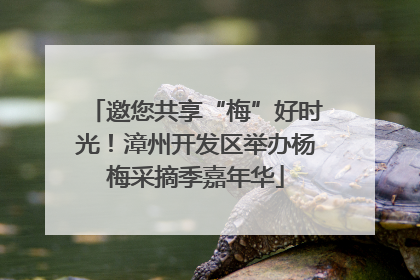 邀您共享“梅”好时光！漳州开发区举办杨梅采摘季嘉年华
