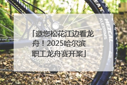 邀您松花江边看龙舟！2025哈尔滨职工龙舟赛开桨