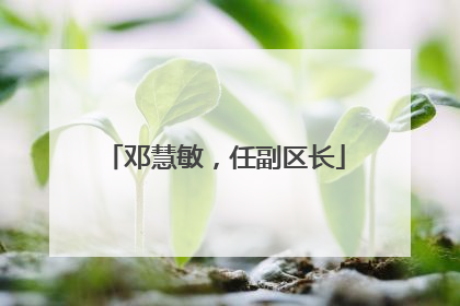 邓慧敏，任副区长