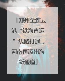 郑州至连云港“铁海直运”线路打通，河南再添出海新通道