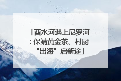 酉水河遇上尼罗河：保靖黄金茶、村厨“出海”启新途