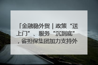 金融稳外贸｜政策“送上门”、服务“沉到底”，省担保集团加力支持外经贸高质量发展