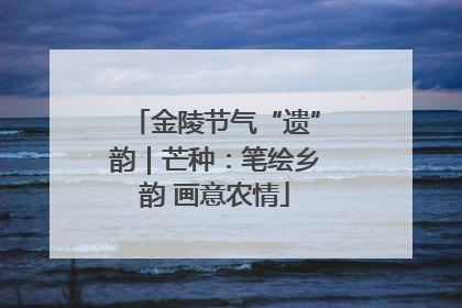 金陵节气“遗”韵｜芒种：笔绘乡韵 画意农情