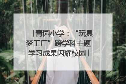 青园小学：“玩具梦工厂”跨学科主题学习成果闪耀校园