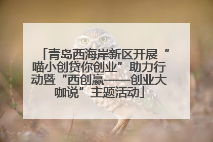 青岛西海岸新区开展“喵小创贷你创业”助力行动暨“西创赢——创业大咖说”主题活动