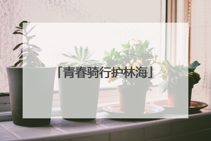 青春骑行护林海