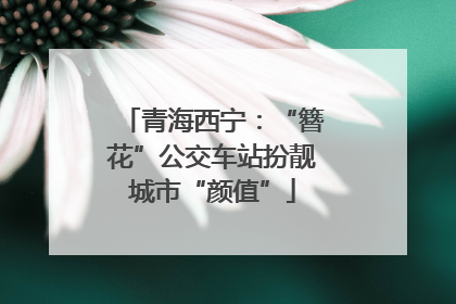 青海西宁：“簪花”公交车站扮靓城市“颜值”