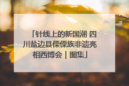 针线上的新国潮 四川盐边县傈僳族非遗亮相西博会｜图集