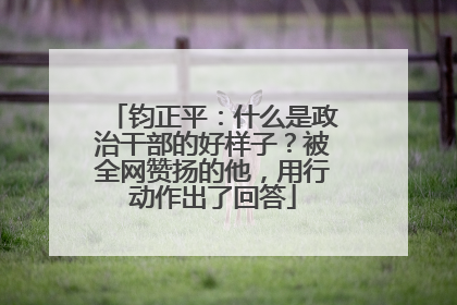 钧正平：什么是政治干部的好样子？被全网赞扬的他，用行动作出了回答